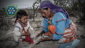 “Huicholes: Los Útimos Guardianes del Peyote” tendrá proyecciones en cuatro ciudades de Arizona. Foto: Cortesía