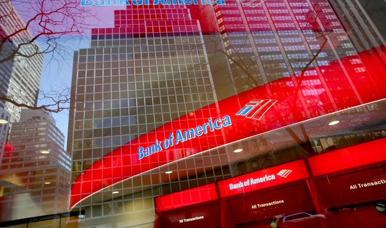 Comparte acervo Bank of America