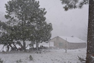 El paso del frente frío 24, asociado a la quinta tormenta invernal de la temporada, han ocasionado un marcado descenso de temperaturas en Sonora. Foto: Notimex