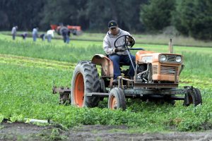 La Universidad de Arizona formará brigadas para mejorar las alternativas de desarrollo sustentable para las familias del campo. Foto: AP