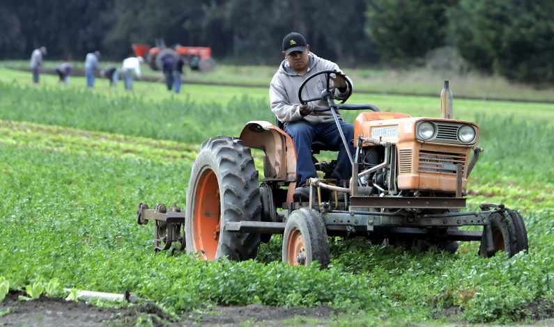 Capacitan a jóvenes para impulsar desarrollo del campo mexicano