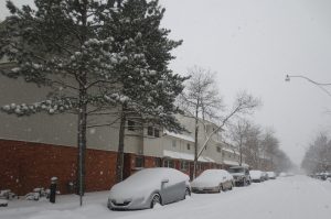 La nieve estará acompañada de hielo, que en casos como Little Rock Arkansas se anticipa alcance una acumulación de hasta media pulgada. Foto: Notimex