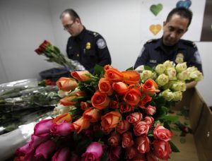 Flores como rosas, claveles y margaritas si son admitidas en EU y son las más comunes que la gente compra. Foto: AP