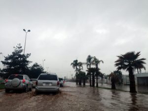 urango.- Durango ha sufrido los estragos de la octava y novena tormenta invernal, que han dejado nevadas en ocho municipios, así como lluvia y granizo en el territorio estatal. NOTIMEX/FOTO/ESPECIAL/COR/WEA/