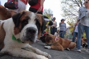 SE REÚNEN EN EL MONUMENTO A LA MADRE