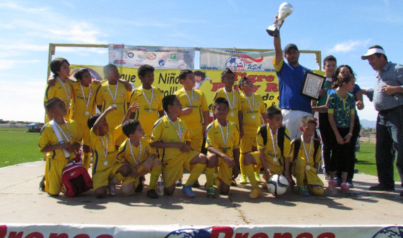 Todo un éxito la ‘Copa 2015’ de fútbol en Avondale