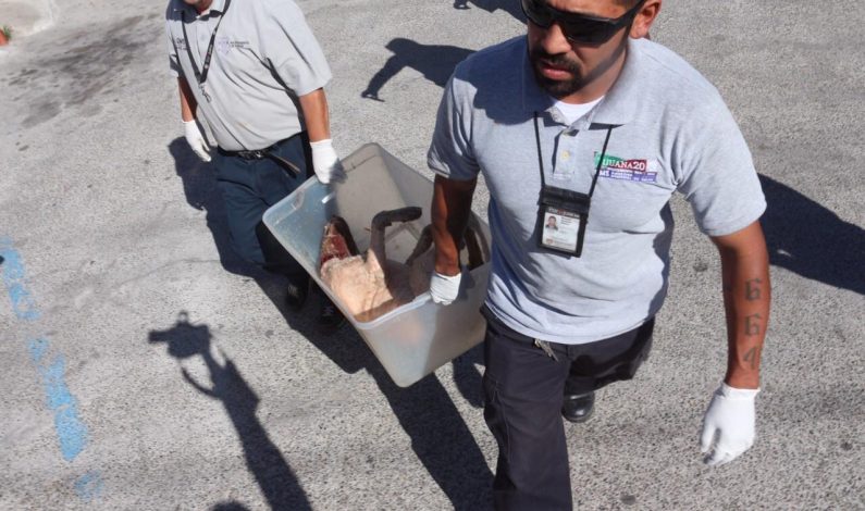 Se disculpan chinos por comida de perro