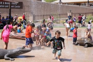 El próximo domingo habrá diversión para todos en el zoológico de Phoenix. Foto: Cortesía