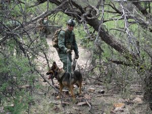 Los agentes de la Patrulla Fronteriza utilizan toda clase de apoyo para su labor diaria de la vigilancia en el desierto. Foto: Sam Murillo/Mixed Voces.