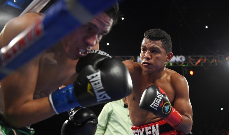 “Chocolatito” quiere una nueva pelea con el “Gallo” Estrada