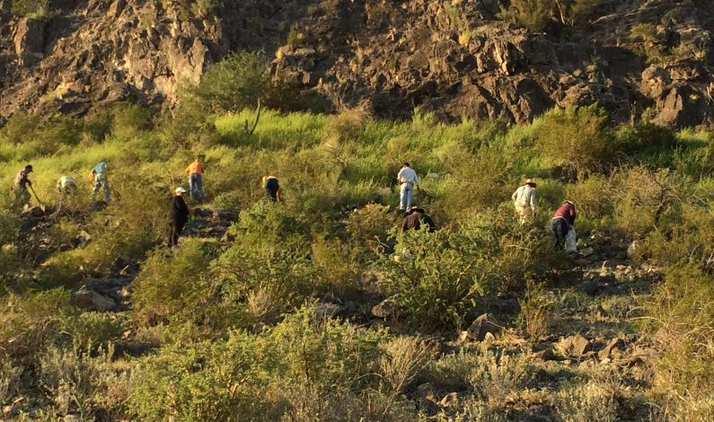 Determinan responsabilidad de minera en derrame de cianuro en Sonora