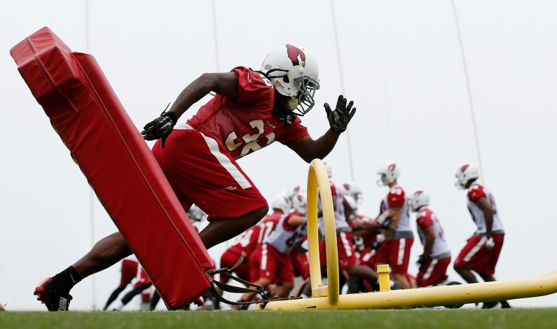 Palmer y Cardenales arrancan mini-campos de entrenamiento