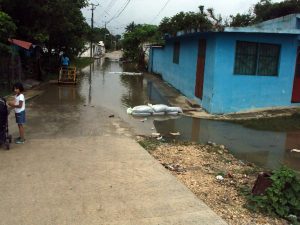 La lluvia extraordinaria de más de 100 milímetros que se presentó anoche en las inmediaciones de la zona de Pesqueira, al norte de la cuenca del río San Miguel. Foto: Notimex