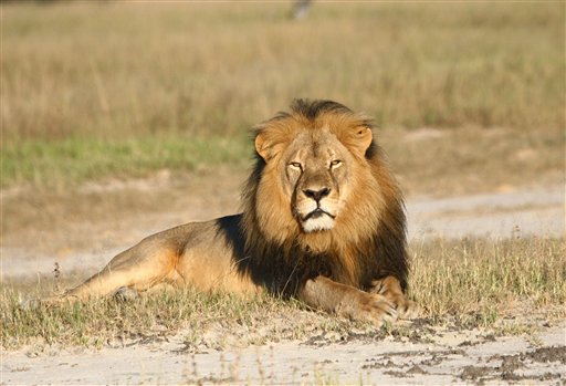 Zimbabue busca extraditar al cazador que mató a Cecil