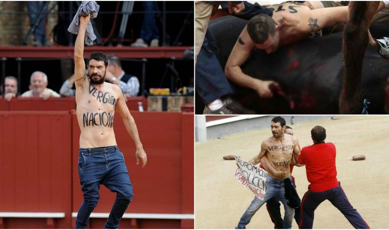 Salta a plaza de toros para darle el último adiós a toro