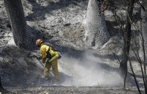 En el estado de Washington, en la esquina noroeste del país, los cielos nublados y la humedad elevada han ayudado a los bomberos a cercar un incendio en el condado de Lewis. Foto: AP 