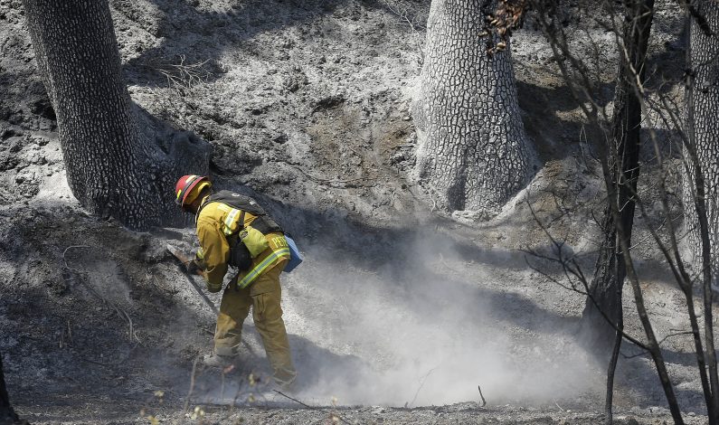 Arden incendios en varios estados del occidente del país