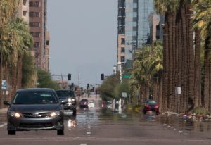 El fuerte sol se dejó sentir este fin de semana en Phoenix. Foto: Phil Soto / Mixed Voces