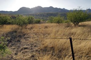 This Tuesday, June 7, 2011 picture shows Peck Canyon near Nogales, Ariz. The ATF is under fire over a Phoenix-based gun-trafficking investigation called "Fast and Furious," in which agents allowed hundreds of guns into the hands of straw purchasers in hopes of making a bigger case. Two of those weapons were found in December 2010 at the fatal shooting of U.S. Border Patrol agent Brian Terry in Peck Canyon, igniting a scandal that has resulted in a congressional investigation and review by the Justice Department's Office of Inspector General. (AP Photo/Matt York)