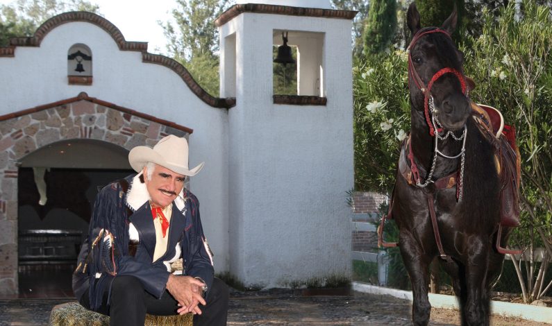 Vicente, ahora rey de las redes sociales