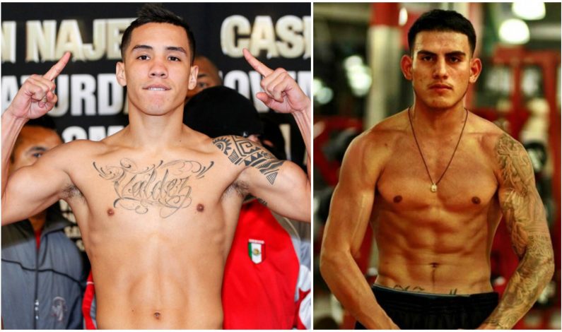 Valdez y Benavidez Jr. listos para lucir en Tucson