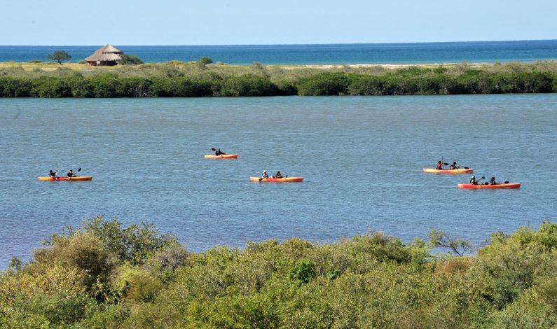 El Estero del Soldado, un lugar para visitar en Sonora