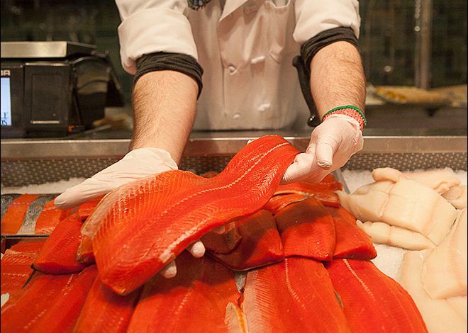 EEUU aprueba el salmón genéticamente modificado