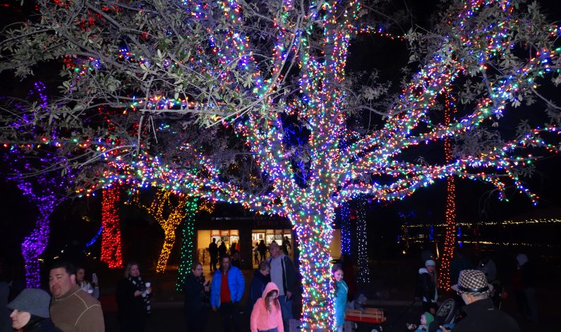 Llega la Navidad al Zoológico de Phoenix