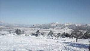 La nieve embelleció las áreas boscosas y caminos de la elevada zona rural. Foto: Cortesía