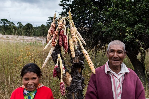 Ambulante celebrará su undécima edición  