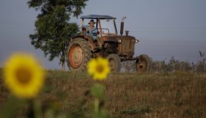 ARCHIVO - En esta fotografía de archivo del 22 de febrero de 2011, un granjero maneja su tractor en Pinar del Río Cuba. El gobierno del presidente Barack Obama aprobó la apertura de la primera fábrica estadounidense en Cuba en más de medio siglo, al autorizar a una empresa de Alabama para que construya una planta que ensamblaría hasta 1.000 tractores pequeños al año para su venta a agricultores independientes en Cuba y otros países de la región. (Foto AP/Javier Galeano, Archivo)