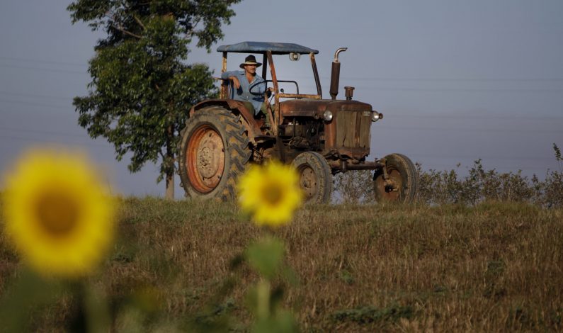 EU autoriza primera fábrica en Cuba desde 1959