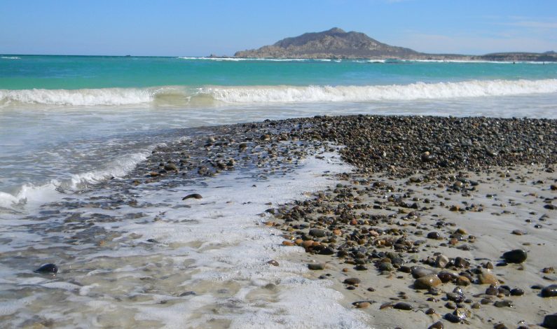 Cabo Pulmo, paraíso natural, único en el mundo