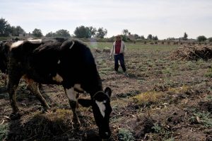 Temas como la protección al medio ambiente y el respeto a los derechos humanos serán tratados con los representantes de los campesinos de México. Foto: Notimex