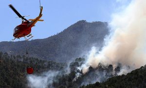 las conflagraciones forestales propician cambios en la vegetación, disminuyen la calidad de los servicios ambientales y contribuyen al calentamiento global.