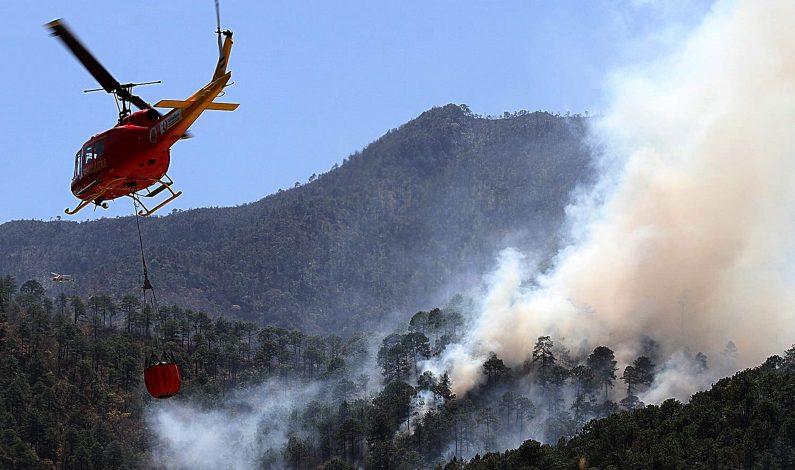 Guerrero y Coahuila, los más afectados por incendios forestales